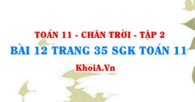 Bài 12 trang 35 Toán 11 Tập 2 Chân trời sáng tạo